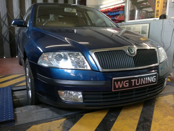 Skoda Remapping